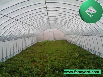 Greenhouses,Commercial Greenhouse,Plastic Greenhouse