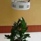এনার্জি সেভিং উচ্চ ক্ষমতা LED গ্রিনহাউস জন্য প্ল্যান্ট হাল্কা ইসলাম RCG 50W বাড়ান