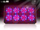 More Efficient 3W LED Grow Plant Lights for Greenhouse RCAPO8