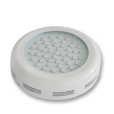 উচ্চ ক্ষমতা LED উদ্ভিদ হালকা হত্তয়া 3watt পরিবেশ বান্ধব 85 - 265V CRI&gt; 80