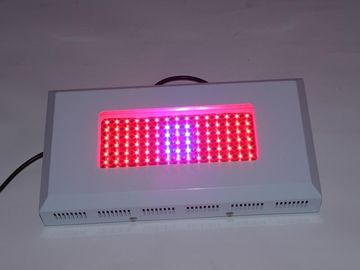 উচ্চ ক্ষমতা hydroponic LED Lightst 1watt এসি 85 ~ 264V বাড়ান, গ্রিনহাউস প্রভা বাড়ান
