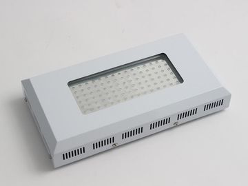 উচ্চ আলোর ইফেক্ট নেতৃত্বাধীন উদ্ভিদ আলো 90W, নীল এবং লাল LED প্রভা বাড়ান ক্রমবর্ধমান