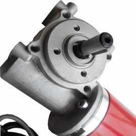 ডিসি গিয়ার্ মোটর 24VDC 100W ডোর মোটর, এনকোডার সঙ্গে কালো সহচরী জন্য