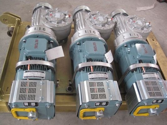 ইলেকট্রিক রাক এবং pinion Hoists