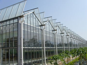 গ্লাস গ্রিনহাউস