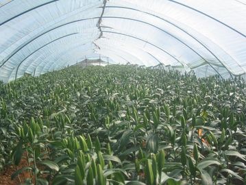 চীন মধ্যে HDPE uvioresistant গ্রিনহাউজ আলোছায়া নেট