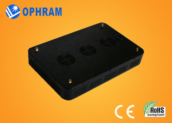 উচ্চ ক্ষমতা IP20 সম্পূর্ণ স্পেকট্রাম LED চারা / শাক জন্য প্রভা বাড়ান