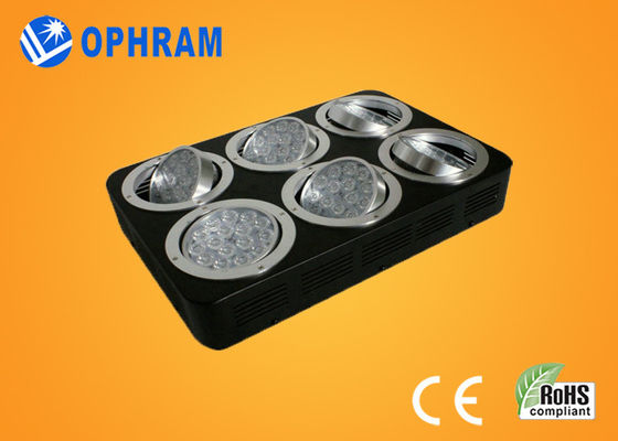 উচ্চ ক্ষমতা IP20 সম্পূর্ণ স্পেকট্রাম LED চারা / শাক জন্য প্রভা বাড়ান