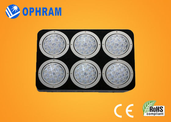 উচ্চ ক্ষমতা IP20 সম্পূর্ণ স্পেকট্রাম LED চারা / শাক জন্য প্রভা বাড়ান