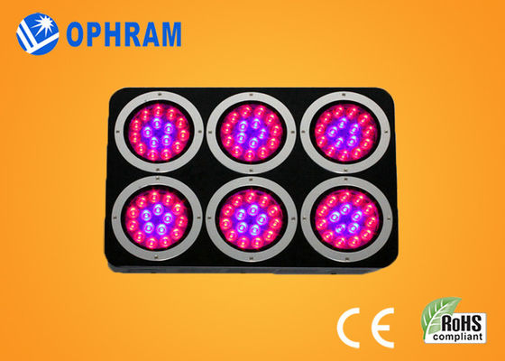 উচ্চ ক্ষমতা IP20 সম্পূর্ণ স্পেকট্রাম LED চারা / শাক জন্য প্রভা বাড়ান