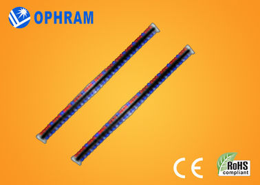 ঔজ্জ্বল্য উচ্চ Epistar IP65 লাল ও নীল নিয়ে Grow আলো দিয়ে খ্রিস্টাব্দ / ROHS
