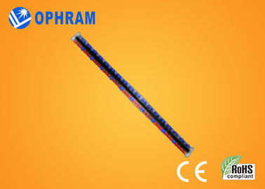 ঔজ্জ্বল্য উচ্চ Epistar IP65 লাল ও নীল নিয়ে Grow আলো দিয়ে খ্রিস্টাব্দ / ROHS