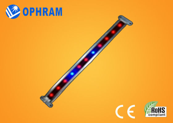 10W SMD ও 2835 সবজি / ফুল LED 180 ° রশ্মি এঙ্গেল সঙ্গে প্রভা বাড়ান