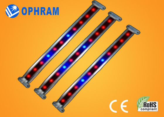 10W SMD ও 2835 সবজি / ফুল LED 180 ° রশ্মি এঙ্গেল সঙ্গে প্রভা বাড়ান