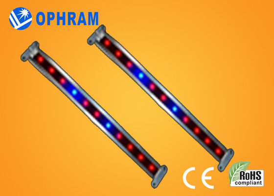 10W SMD ও 2835 সবজি / ফুল LED 180 ° রশ্মি এঙ্গেল সঙ্গে প্রভা বাড়ান