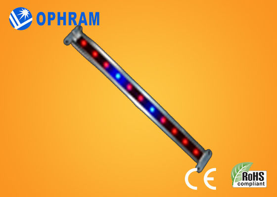 10W SMD ও 2835 সবজি / ফুল LED 180 ° রশ্মি এঙ্গেল সঙ্গে প্রভা বাড়ান