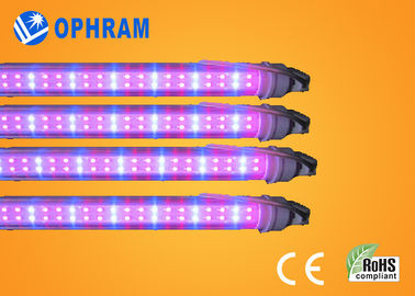 50Hz / 60Hz 230V / 240V সম্পূর্ণ স্পেকট্রাম LED উদ্ভিজ্জ জন্য প্রভা বাড়ান