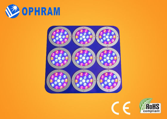 Epistar লাল / নীল ফুল স্পেকট্রাম LED ধাতু কেস সঙ্গে প্রভা বাড়ান
