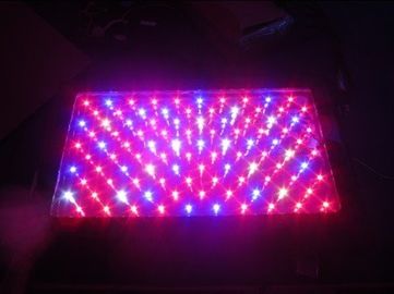 120W উচ্চ ক্ষমতা গ্রিনহাউজ LED হাল্কা বাড়ান