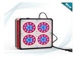 হাইড্রোপনিক্স গ্রিনহাউস ইন্ডোর গাছগুলো জন্য প্রভা বাড়ান LED এ্যাপোলো 4 LED বাড়ান প্রভা দ্রুত বর্ধনশীল 60pcs * 3W প্রস্তুত